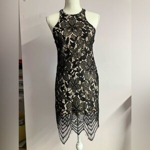 Express Women’s Mini Dress, Size XS, Black Lace Overlay, Contoured